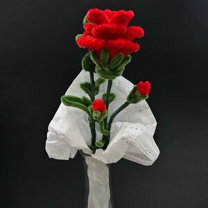 1 long stemmed Carnation with bud